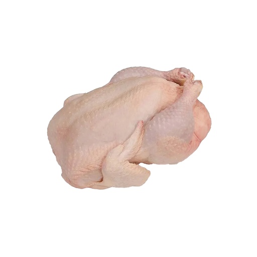 [0750] POLLO ROSTICERO ESCALDADO